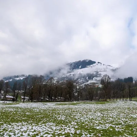 Near The Area * Brixen im Thale