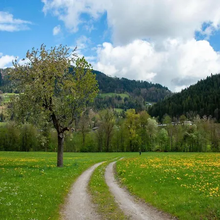 Near The Ski Area * Brixen im Thale